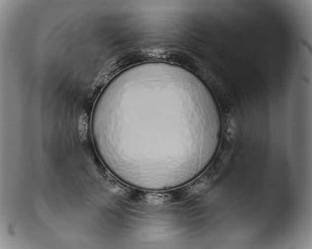 X0000103440707200809261754