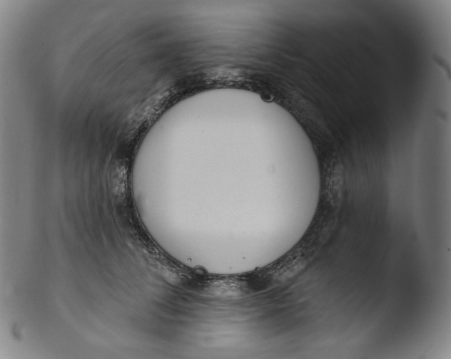 X0000103440708200809261754