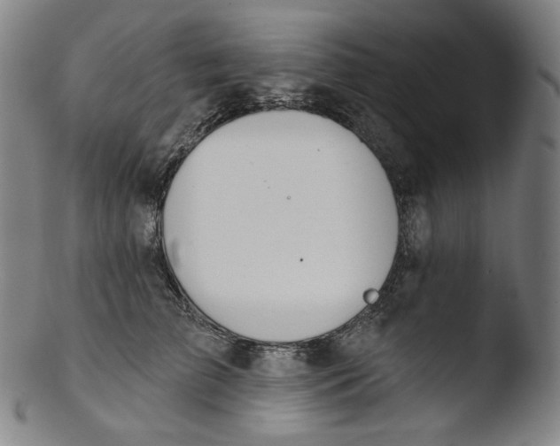 X0000103440709200809261754