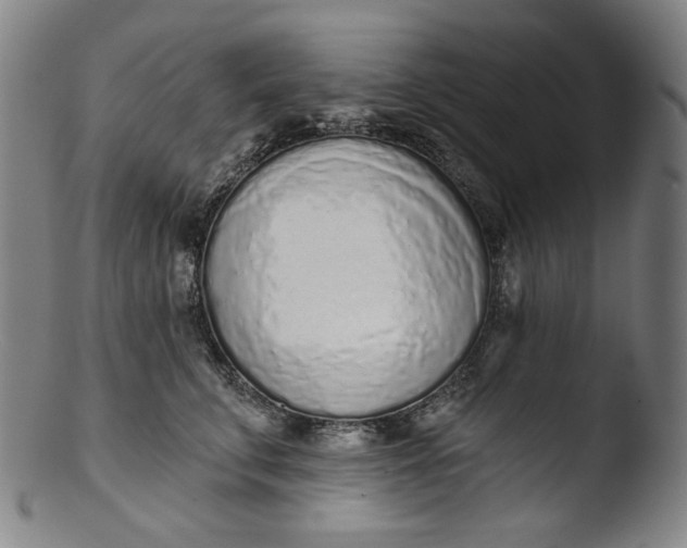 X0000103440711200809261754