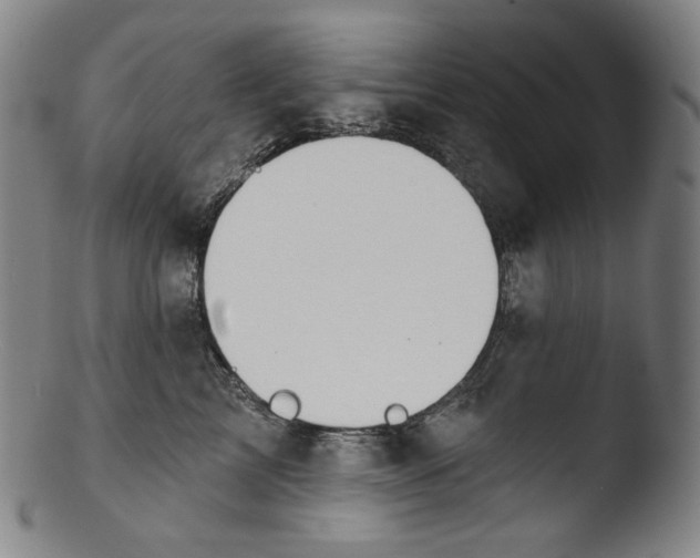 X0000103440713200809261754