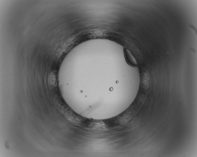 X0000103440715200809261754