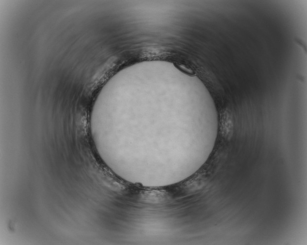 X0000103440716200809261754