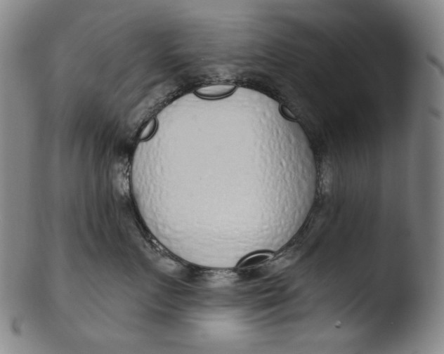 X0000103440719200809261754