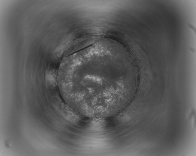 X0000103440720200809261754