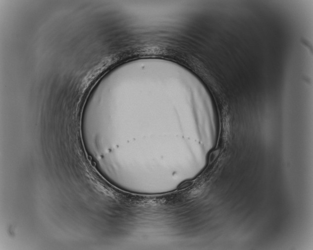 X0000103440721200809261753