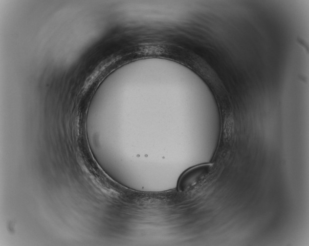 X0000103440722200809261753