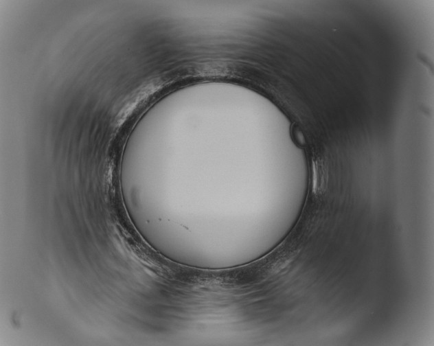 X0000103440723200809261753