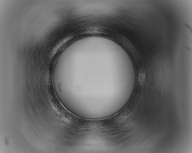 X0000103440724200809261753