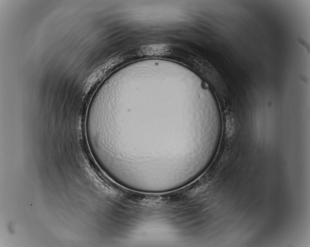 X0000103440725200809261753