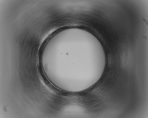 X0000103440726200809261753