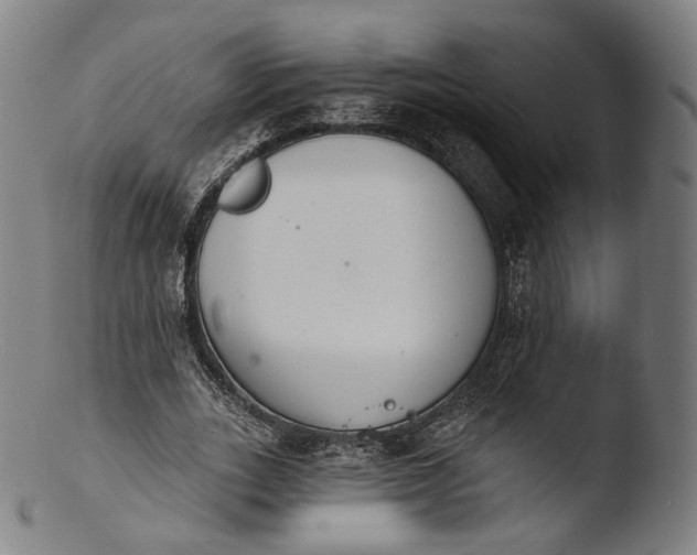 X0000103440727200809261753