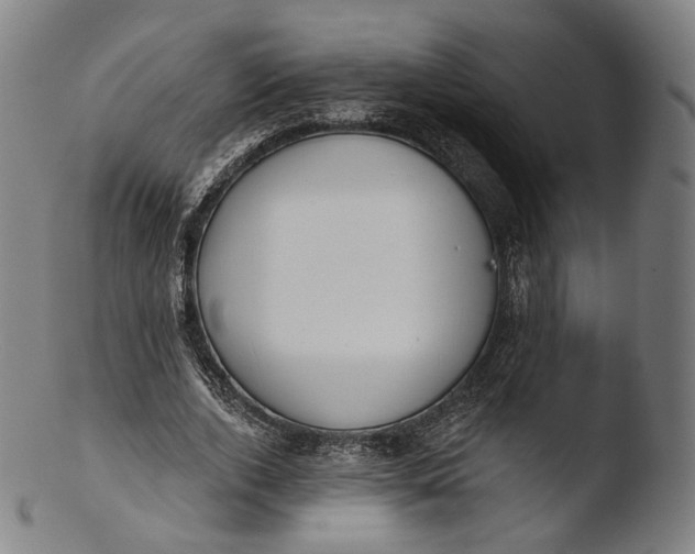 X0000103440728200809261753