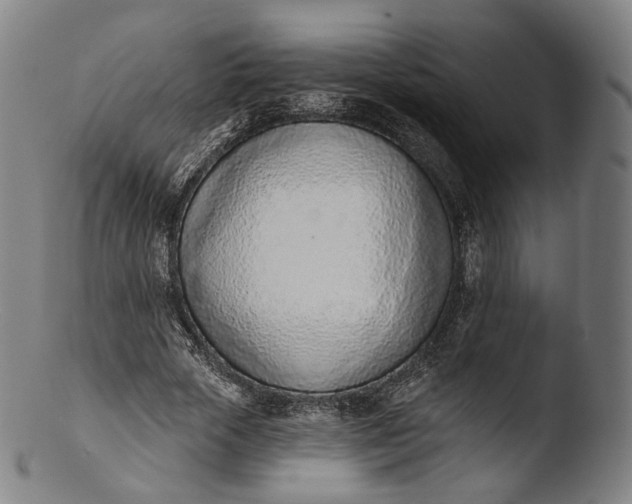 X0000103440729200809261753