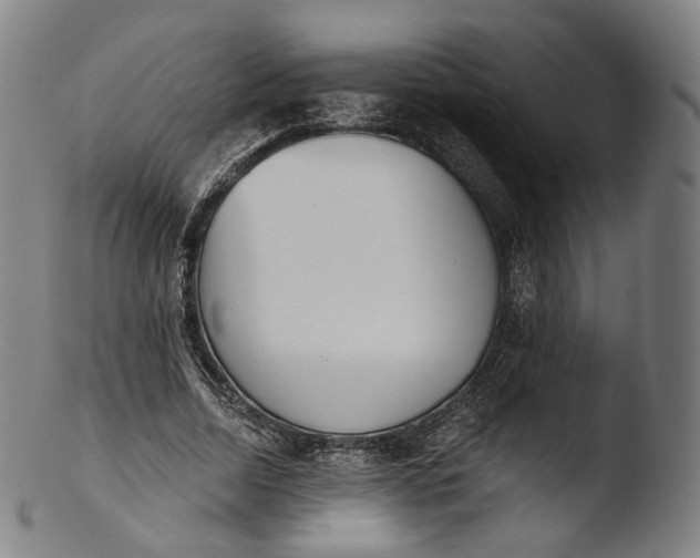X0000103440730200809261753