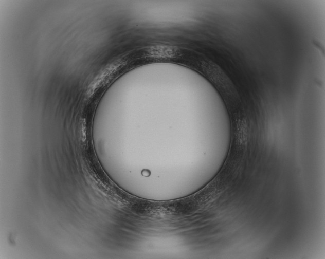 X0000103440731200809261753