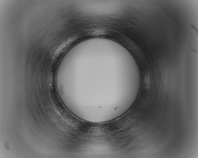 X0000103440732200809261753