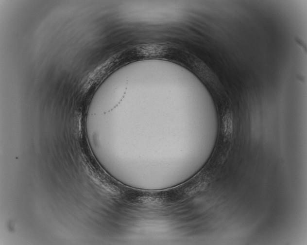 X0000103440733200809261753