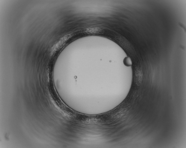 X0000103440734200809261753