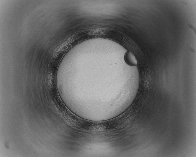 X0000103440735200809261753