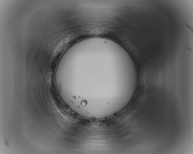 X0000103440736200809261753