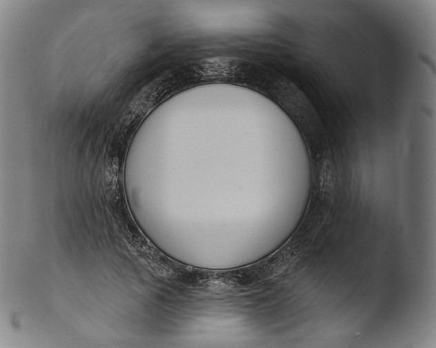 X0000103440737200809261753