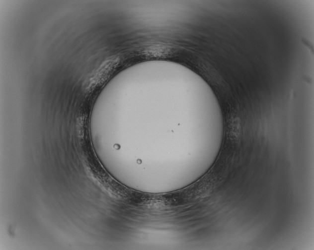 X0000103440738200809261753