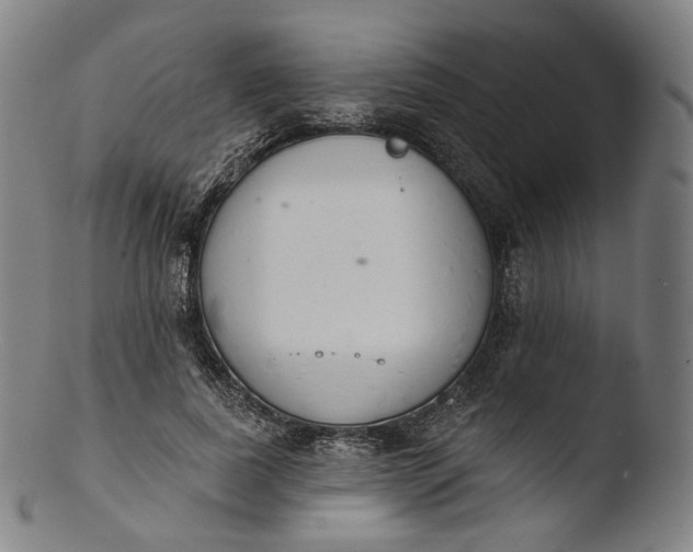 X0000103440739200809261753