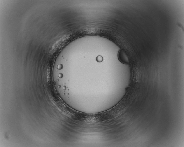 X0000103440740200809261753