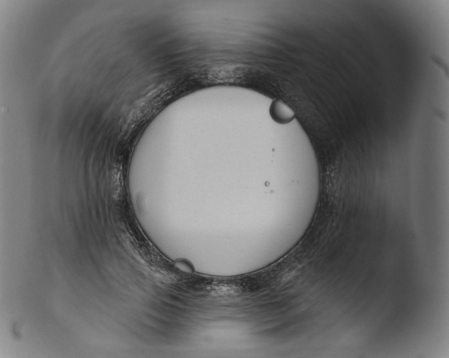 X0000103440741200809261753