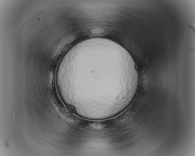 X0000103440742200809261753