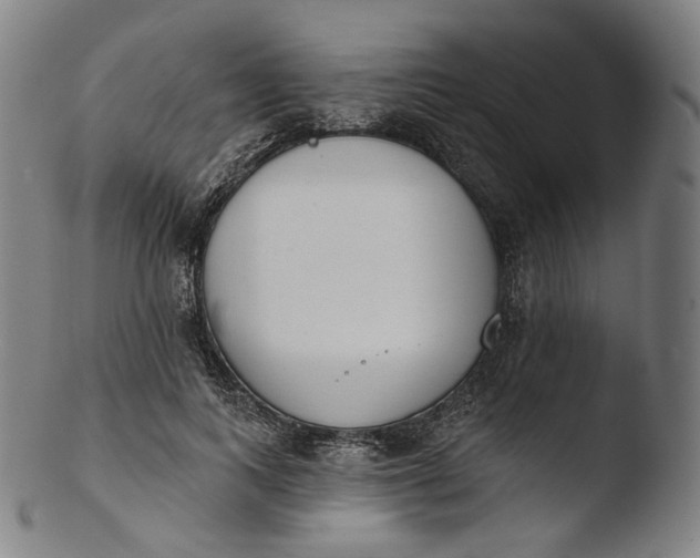 X0000103440743200809261753