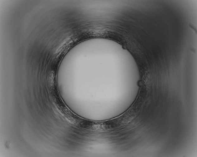 X0000103440744200809261753