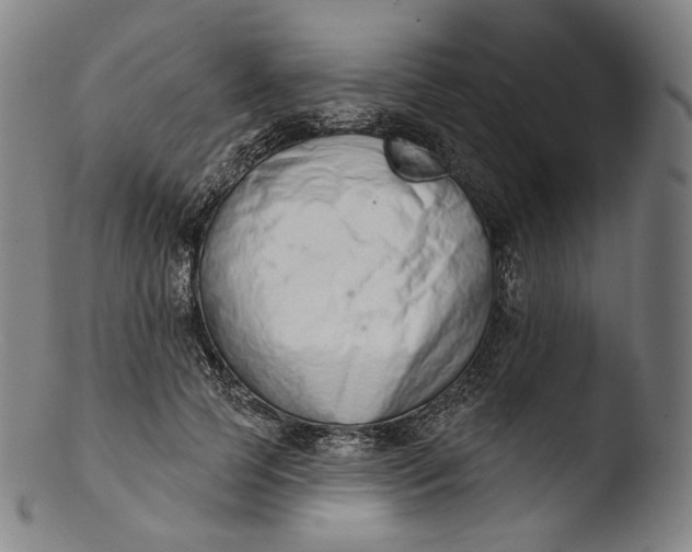 X0000103440745200809261753