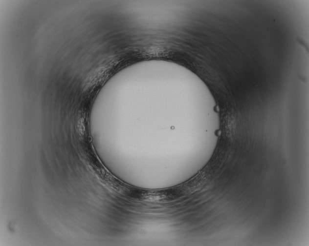 X0000103440746200809261753