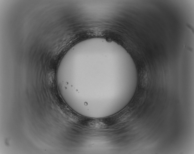 X0000103440747200809261753