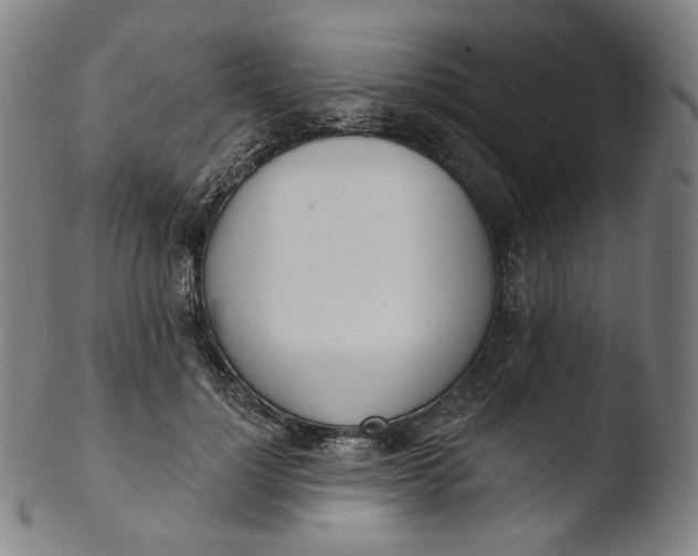 X0000103440748200809261753