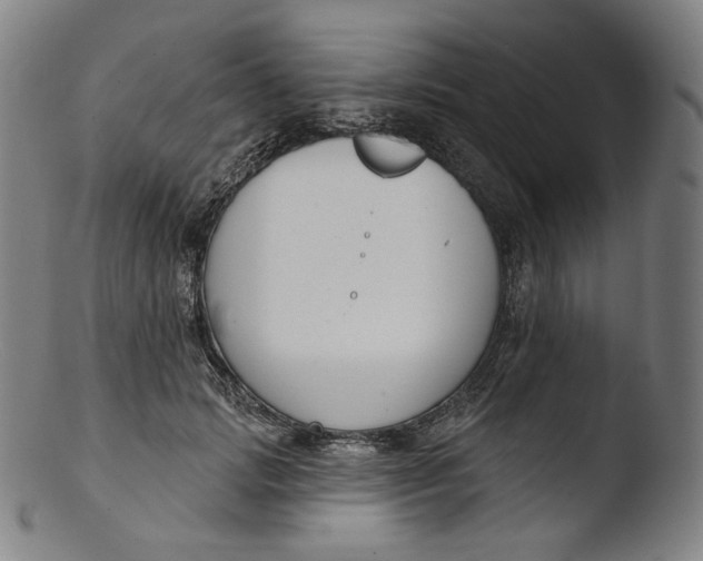 X0000103440749200809261753