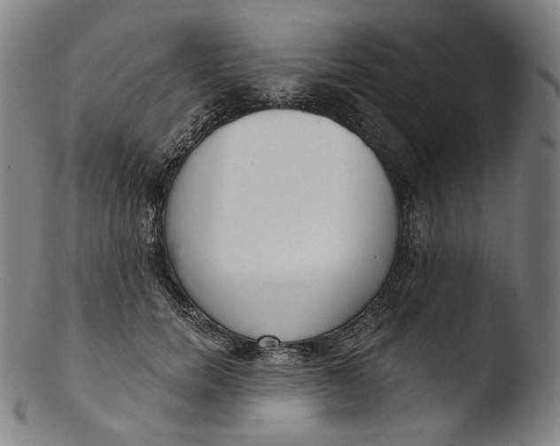 X0000103440750200809261753