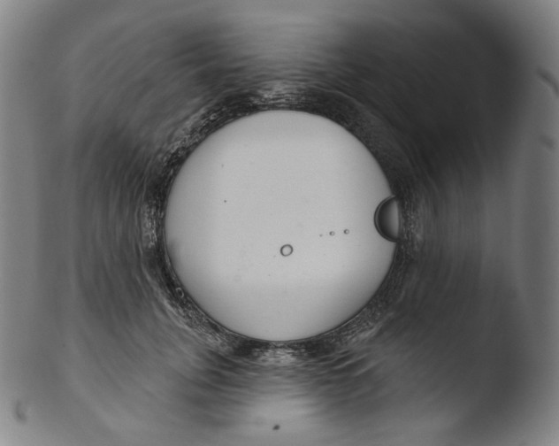 X0000103440751200809261753