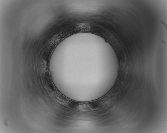 X0000103440752200809261753