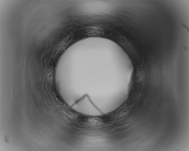 X0000103440753200809261753