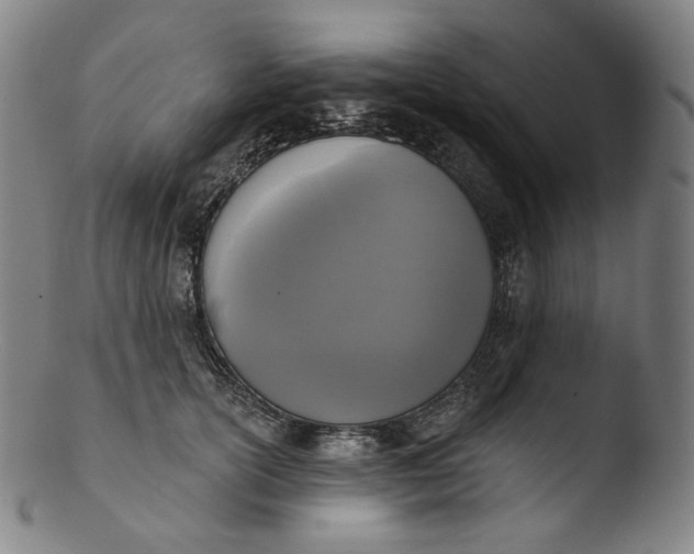 X0000103440754200809261753