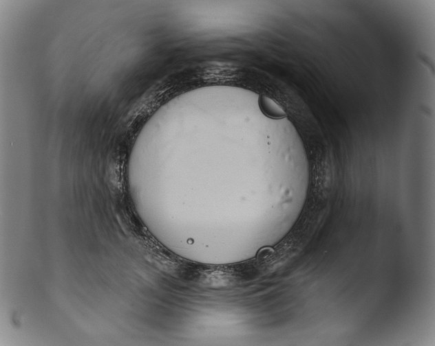 X0000103440755200809261753