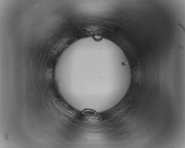 X0000103440756200809261753