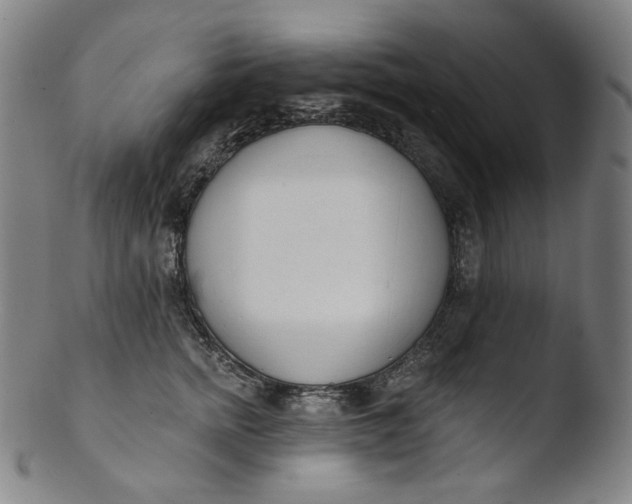 X0000103440758200809261753