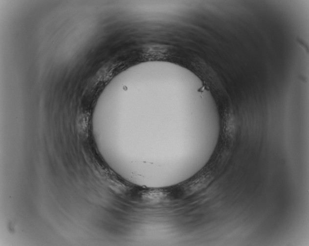 X0000103440759200809261754