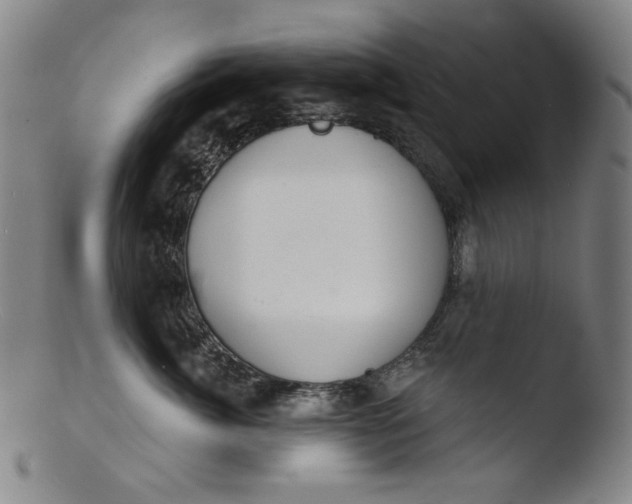 X0000103440764200809261754