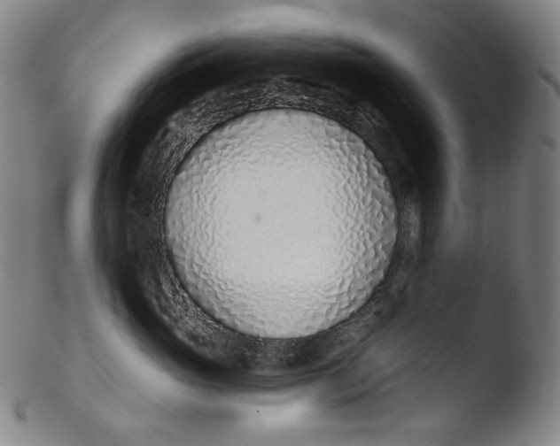 X0000103440765200809261754