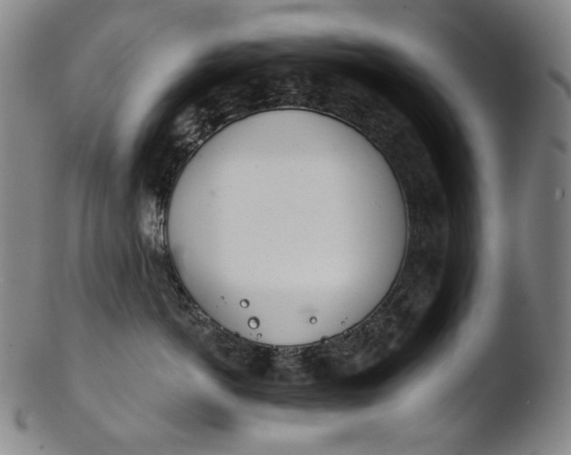 X0000103440766200809261754